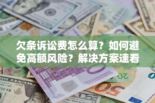 北京欠条诉讼费怎么算？如何避免高额风险？解决方案速看！