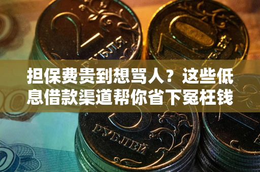 北京担保费贵到想骂人？这些低息借款渠道帮你省下冤枉钱