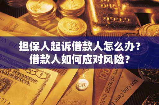 北京担保人起诉借款人怎么办？借款人如何应对风险？