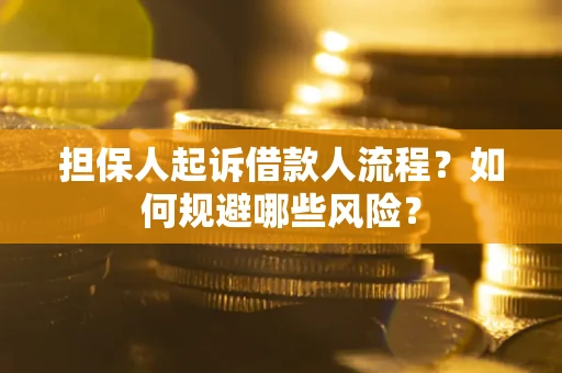 北京担保人起诉借款人流程？如何规避哪些风险？