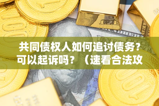 北京共同债权人如何追讨债务？可以起诉吗？（速看合法攻略）