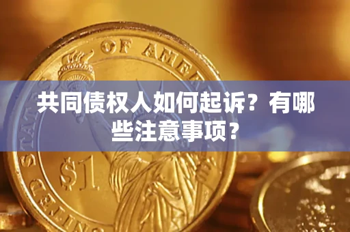北京共同债权人如何起诉？有哪些注意事项？